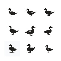 Duck Silhouette Collection Vector Illustration Set