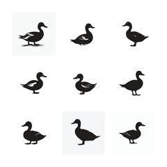 Obraz premium A set of Duck silhouettes perfect for wildlife vector illustrations featuring ducks, doves, and other birds in flight