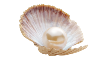 A pearl is sitting inside of a shell