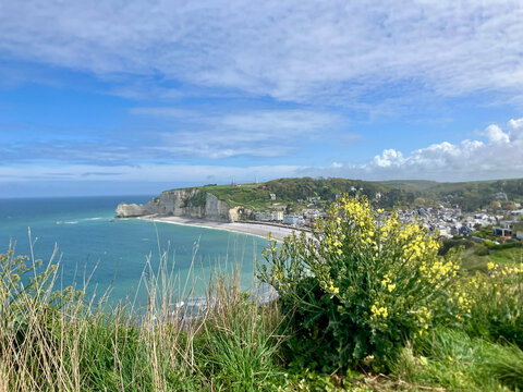 Yellow flowered bush with Etretat shoreline on background