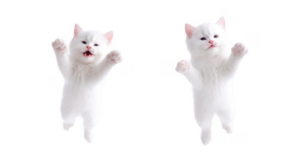 A playful white cat leaps gracefully against a soft white background. showcasing its agility and charm. perfect for pet lovers or animal-themed content