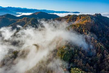 朝霧晴れる(20221103)
