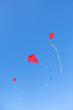 Red kites flying in clean blue sky