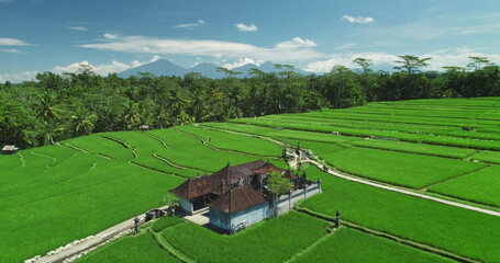 Lush green rice terraces extending across Ubud, Bali, Indonesia, create a tranquil landscape under Mount Agung, highlighting the beauty of nature and traditional architecture