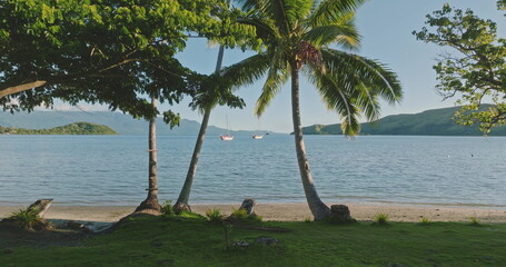 Sailboats gliding across Savusavu Bay, surrounded by swaying palm trees and vibrant vegetation,...