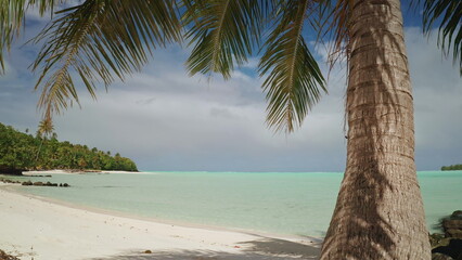 Palm fronds blowing in the wind on a beautiful tropical beach with turquoise water and white sand in aitutaki lagoon, cook islands, a popular tourist destination