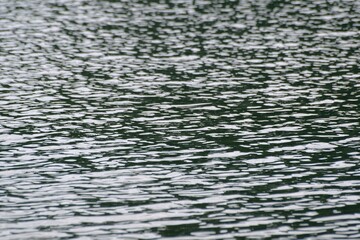 水面のイメージ