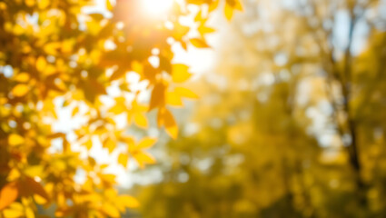 Golden Autumn Leaves Sunlit Fall Foliage Photography