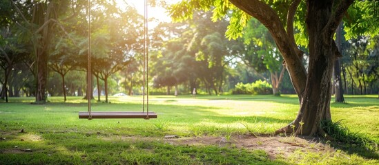 Swinging in the Park on a Sunny Day