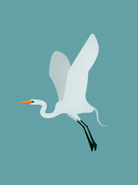 Fototapeta Great egret flying with wide wings in minimalist illustration style