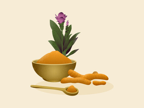 Turmeric rhizomes, powder and flower, promoting healthy lifestyle
