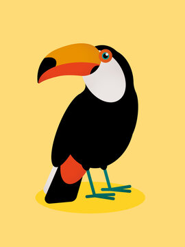 Colorful toucan bird standing on branch 