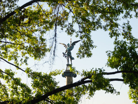 A muse seen between the branches of a tree