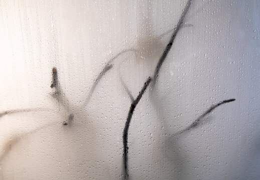 Dewy window