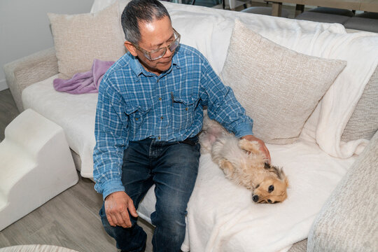 dog belly rub couch 