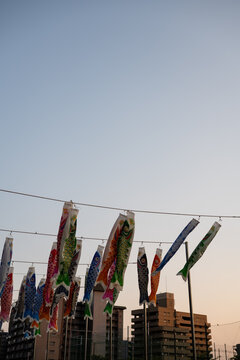 Koi fish flag hanging on pole in evening sky
