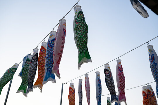 Koi fish flag hanging on pole in evening sky
