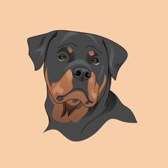 cool cute color dog head vector 