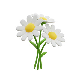 3D realistic white daisy flower for spring, nature, floral, or decoration concept isolated on a transparent background, png, cutout