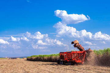 Harvesting machine working in sugar cane field in Brazil