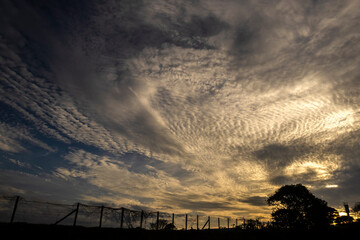 Stunning sunset with dramatic clouds and silhouettes of trees in Brazil.,Rrepresenting nature's...