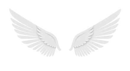 Fototapeta premium Pair of angel wings isolated PNG with Transparent Background