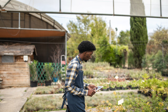 Young Black Man worker observing plants in a greenhouse.