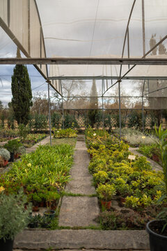 Greenhouse with Potted Plants