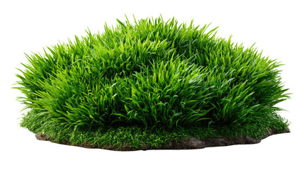 Fototapeta premium Vibrant Green Grass in Nature's Embrace: A close-up capture of vivid green grass, a symbol of natural vitality and freshness, set against a natural background.