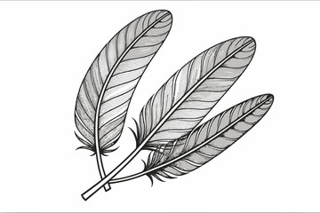 Elegant Black and White Feather Illustration- Detailed Line Art of Three Feathers- Minimalist Feather Design on White Background