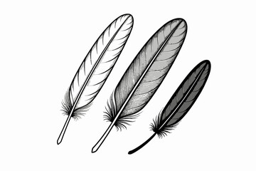 Three Black and White Feathers Illustration - Artistic Feather Design - Detailed Feather Drawing on White Background - Elegant Feather Art