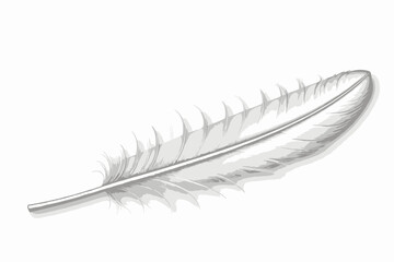White Feather Illustration on White Background- Delicate Bird Plumage- Artistic Feather Design- Minimalist Feather Image for Creativity and Inspiration