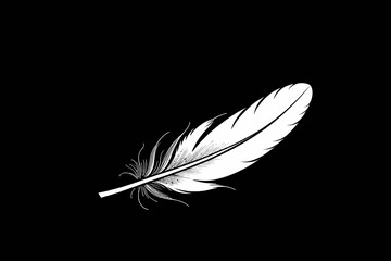 Obraz premium White Feather on Black Background- Minimalist Art- Elegant Feather Illustration- Monochrome Feather Design- Bird Feather Detail