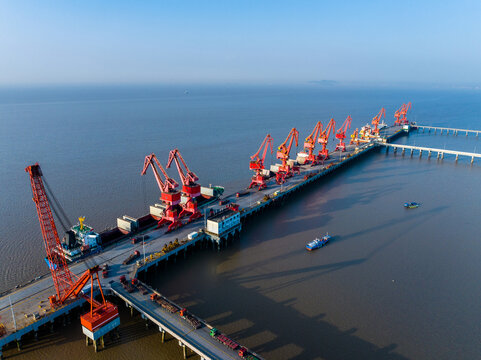 Cargo Port with Cranes and Freight Ships