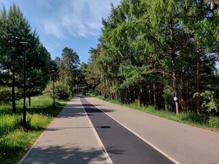 wide, tree-lined path invites visitors to stroll or bike through lush greenery park under bright blue sky. warm sun filters through trees, casting soft shadows.