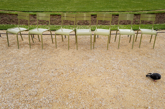 green chairs in paris park