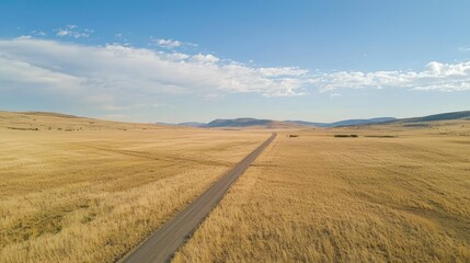 Fototapeta premium A dirt road running through a vast, open, dry landscape with a few scattered trees in the distance, under a clear blue sky with a few scattered clouds.