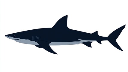 Obraz premium Profile view of a shark