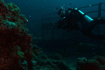 underwater view of scuba diver and coral reef