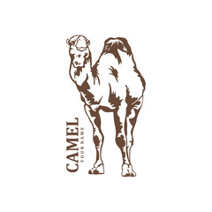 Camel logo design vector. Silhouette Camel Template Illustration. Icon Symbol
