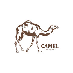 Camel logo design vector. Silhouette Camel Template Illustration. Icon Symbol