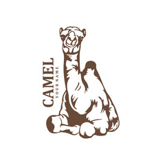 Camel logo design vector. Silhouette Camel Template Illustration. Icon Symbol