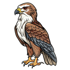 Obraz premium Detailed Illustration of a Majestic Hawk with Intense Gaze and Sharp Talons