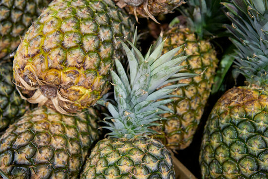 Fresh pineapples at a local market