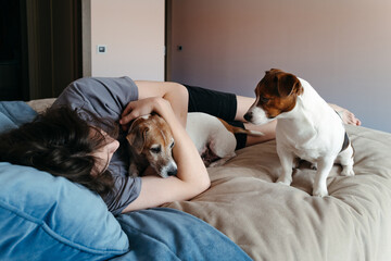 Cozy Moments Shared Between a Person and Friendly Dogs at Home