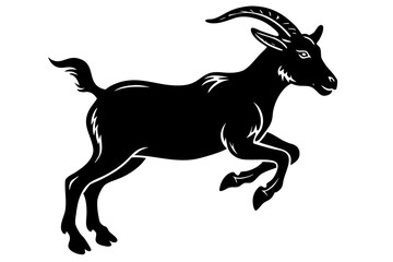 goat on white background