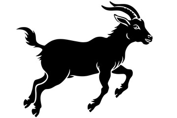 goat on white background