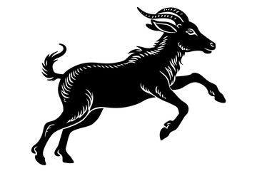 goat on white background