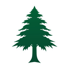 Cedar tree vector silhouette illustration isolated on white background