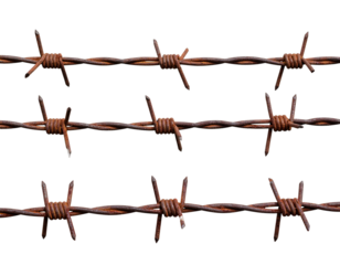 Vertical Rusted Barbed Wire Fence Segment with Broken Strands, isolated on transparent background